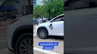 Damn! #jumping into the side mirror #humour #funny #shortvideo #shorts #short #car #trending #cars