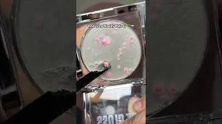 destroying mouldy makeup NO it&rsquo;s not actually mouldy 😂#hudabeauty #destroy #makeuptips