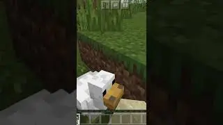 Bichari chiken 😍🥺😭 #shorts #minecraft #minecraftshorts #100million #piyushjoshigaming @piyushgaming