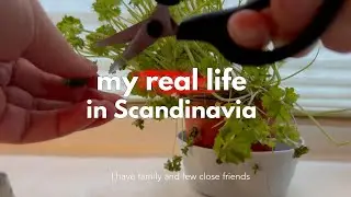 This is not the fake life for the camera, this is how I really live in Denmark 🍲🧁｜vlog 6 🇩🇰