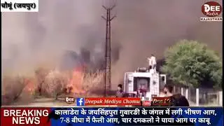 कालाडेरा के जयसिंहपुरा गुवारङी के जंगल में 7-8 बीघा में फैली भीषण आग, चार दमकलो ने पाया आग पर काबू