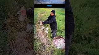 😂🔥Nepali Viral & Savage Funny Comments | Part 152