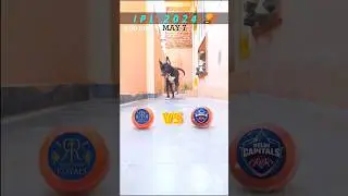 DC VS RR MATCH PREDICTION | IPL 2024 | MATCH NO.56 | #ipl2024 #predictions #shortvideo #shorts#rr#dc