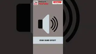 Crow Sound Effect #shorts #beatbox #memes