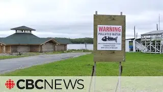 Mercury poisoning near Grassy Narrows First Nation worsened by ongoing industrial pollution: study