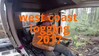 logging stories