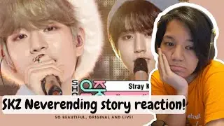 Stray Kids' Neverending Story || REACTION! || BEAUTIFUL SONG