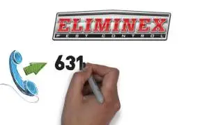 Pest Control Long Island - Eliminex Pest Control 631-567-7111