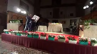 J.BRAHMS:Scherzo dalla sonata FAE Andrea Moro Viola