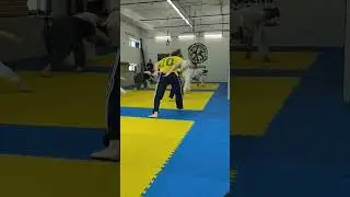 #capoeira #exist&ecirc;ncia #remix #housemusic #мастеркласс #workout #sports #acrobatics #russia #edm #dj