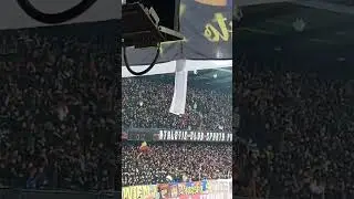 AC Sparta Prague fans vs Liverpool FC  #sparta #prague #fans #atmosphere #live
