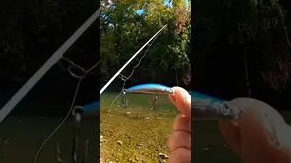😳Best Creek Jerkbait?! 😮