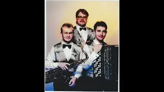 Yön syliin - Trio Kultatähti (1991)