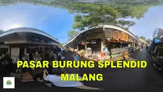 Pasar Burung Splendid Malang 2024. Disarankan Menggunakan Kacamata VR.
