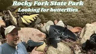 Searching for Butterflies and Scenery at Rocky Fork State Park