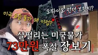 🇺🇸미국살이 5년차- 살떨리는 미국물가$$$$ 직화?피자 먹고 역대급 장보기
