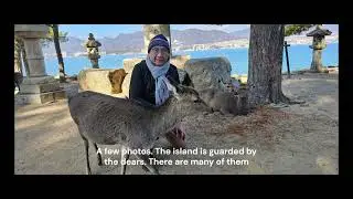 Touring Japan - Hiroshima, Daizafu, Kanagawa, Miyajima