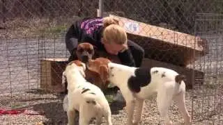 Free to Be Me - Puppy Mill Rescue Dogs Now Thriving!