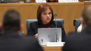 Serious bullying allegations have &lsquo;rocked Labor&rsquo; following Kimberley Kitching&rsquo;s death