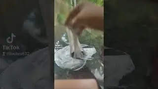 #shorts #slime #slimeasmr #public