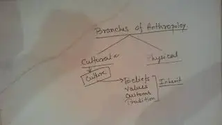 ANTHROPOLOGY INTRODUCTION 1.2
