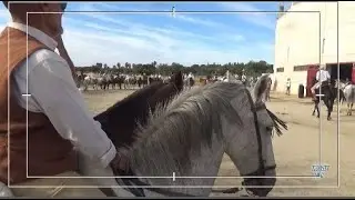 XXI Día del Caballo. 1ªParte
