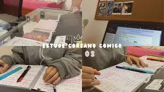 estude coreano comigo por 40 min | study korean language with me for 40 min | fireplace sound 🔥🔥
