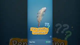 Pen growing undersea？🖋🌊