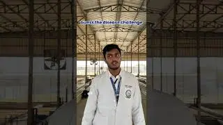 Disease Identification Quiz | Guess the Disease under 60 Seconds#iiver #vet #explore #youtubeshorts