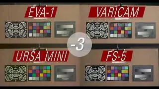Panasonic Shootout: Featuring EVA 1