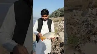 Fishing in Pakistan Simly Dam Fishing