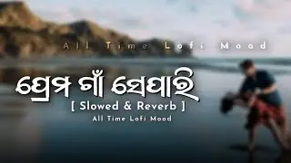 Prema Gaan Separi -[ Slowed & Reverb ] Odia Romantic Song / Old Is Gold / New Odia Lofi Song #shorts