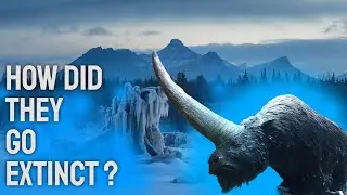 Siberian Unicorn Extinction: The Shocking Truth About Elasmotherium's Disappearance