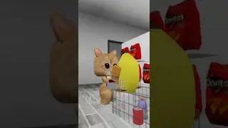 El Gato went on a grocery with Banana Cat! 🛒😸 #roblox #elgato #bananacat #brookhaven #cat #shorts