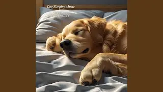 Dog Sleep Song 12 Hz
