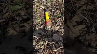 Beer Salt #countrydiggers #beer #salt #lemonlime #bottles #roadside #finds