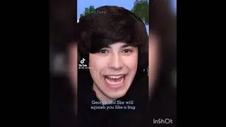 DREAM SMP TIK TOKS!