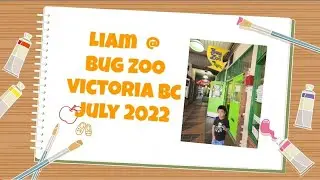 Victoria Bug Zoo / Liam july 2022