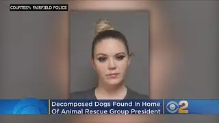 Former Animal Rescue Worker Faces Animal Cruelty Charges After Remains Of Dogs Are Found