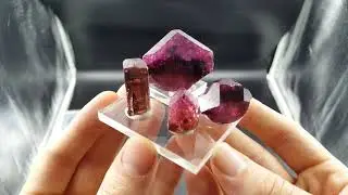 Russian Rubellite & Liddicoatite Tourmaline