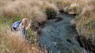 New Zealand fly fishing