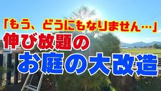 【荒れ庭再生】伸び放題だったお庭の大改造!!荒れた庭が蘇る!プロの黒松の剪定方法紹介| Overgrown Garden Makeover