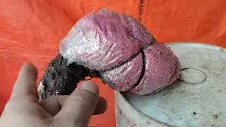 ((₫&atilde; b&aacute;n)))M915 ph&ocirc;i t&ugrave;ng me đổ &ocirc;m chậu 250k lh 0784005295 khi&ecirc;m
