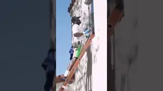 Window Washing in Miami, Florida (Mobile version)