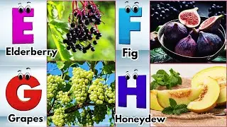 ABC Fruit song | Alphabet Song for Kids | Fun Learning Video | Koko Study Class 2026