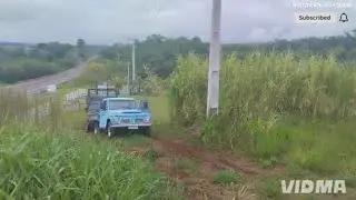 Mais um dia de trabalho com nossa zulica 