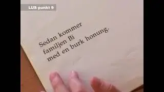 LUS-punkt 9