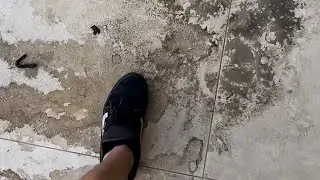 ASMR pet stained stained balcony 