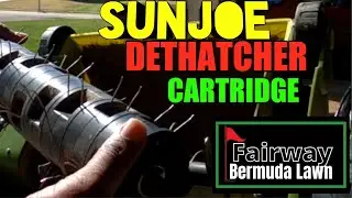 SUNJOE DETHATCHER Cartridge Best Tool for removing Debri out of your Lawn