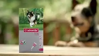 Bayer Advantix for Dogs